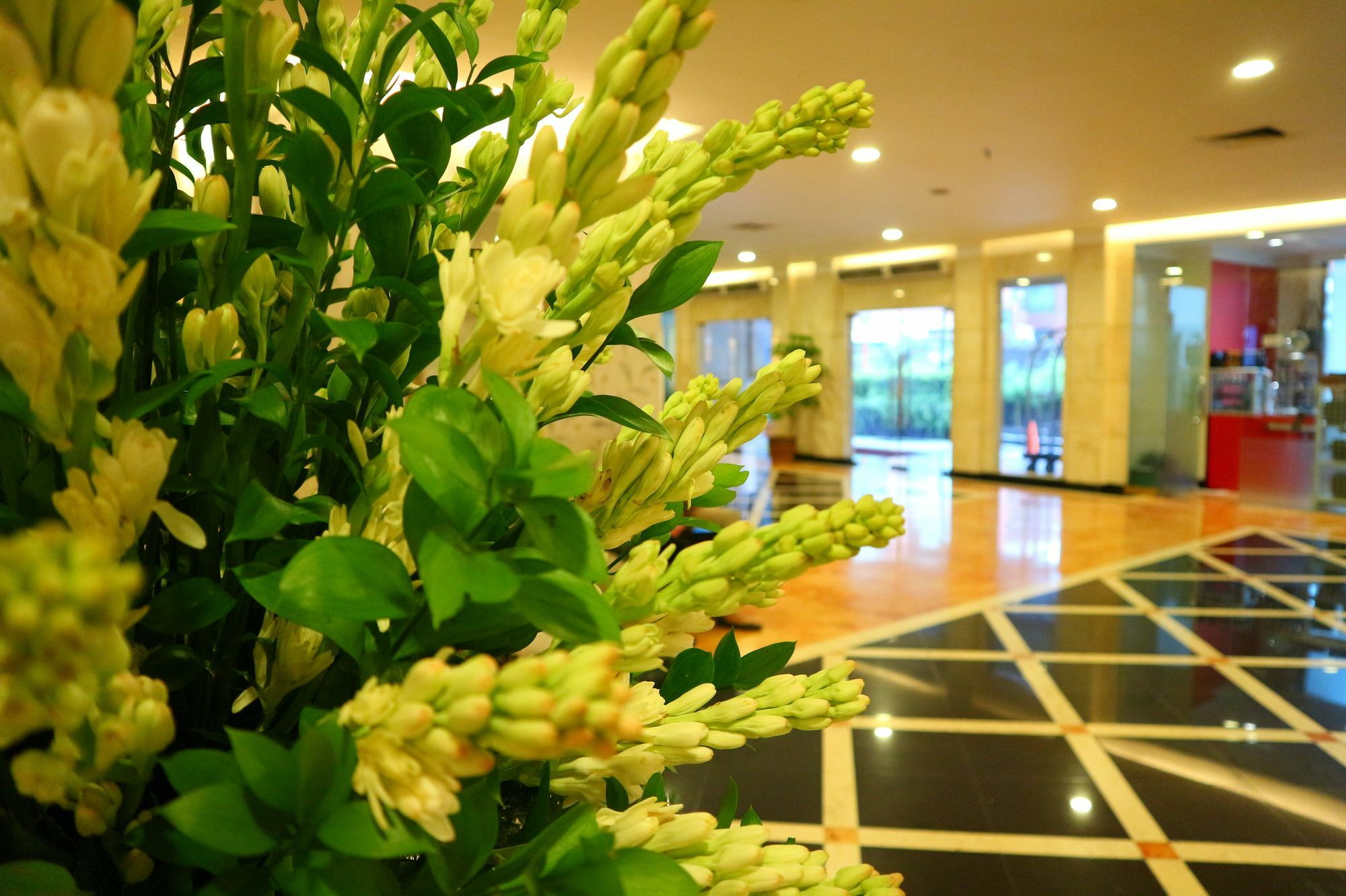Horison Arcadia Mangga Dua Hotel Jakarta Luaran gambar